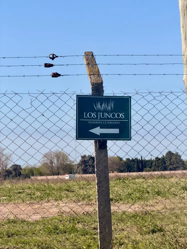Los Juncos — foto 7