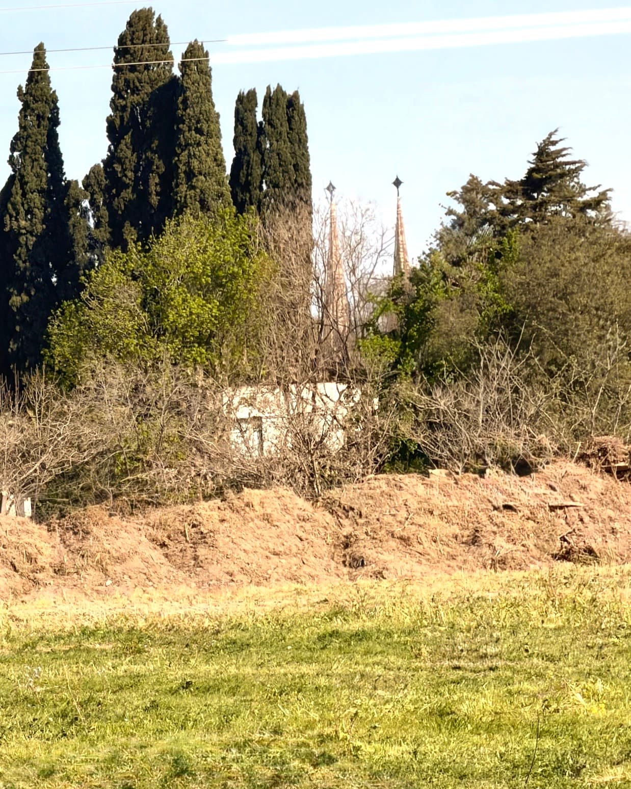 Los Juncos — foto 4