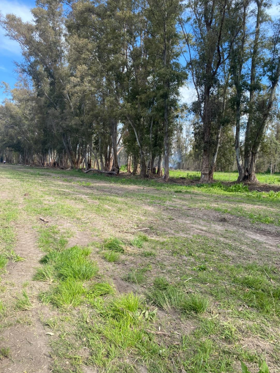 La Casona — foto 3
