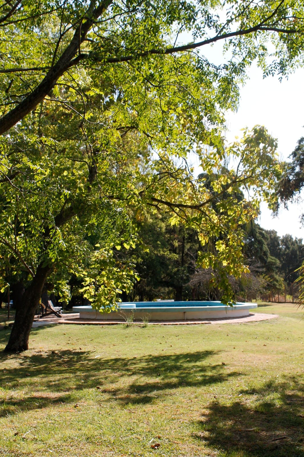 La Dorada Campo y Polo — foto 4