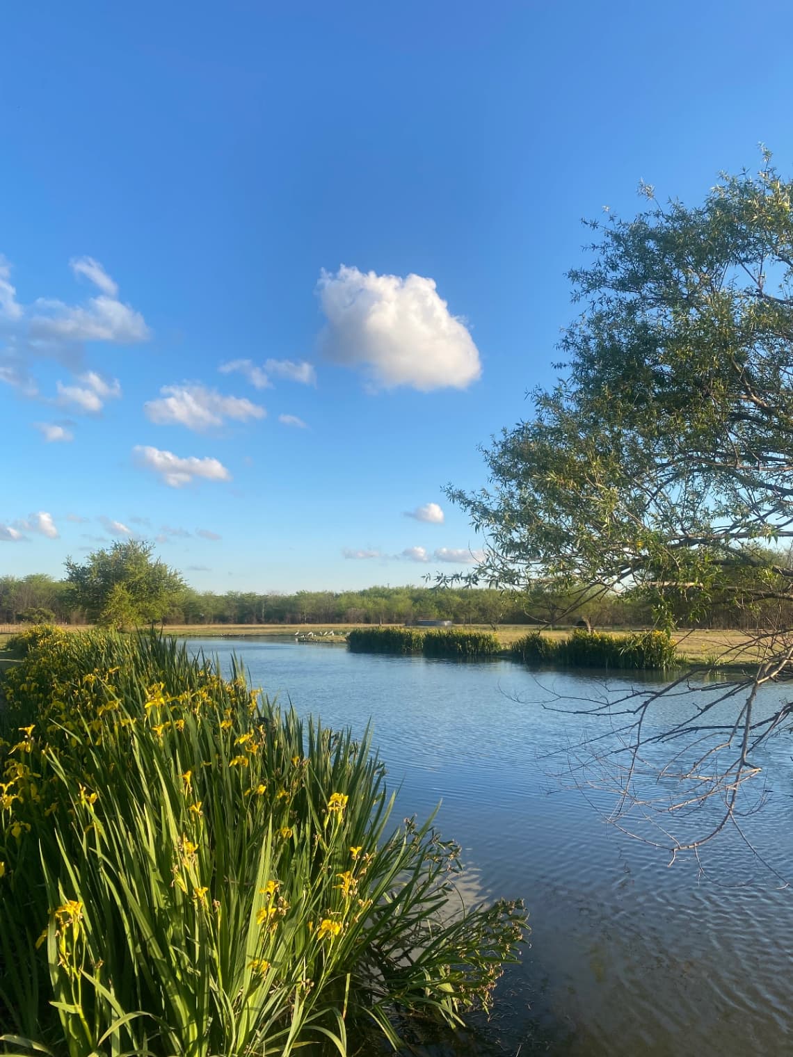 De Campo — camping