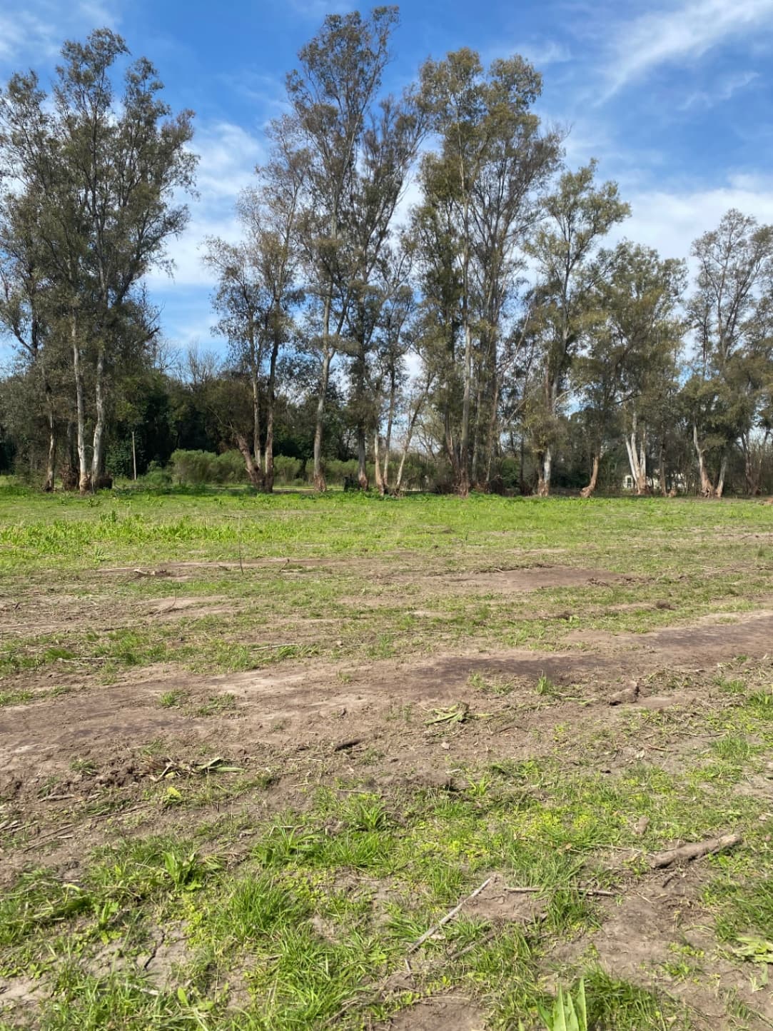 La Casona — foto 2