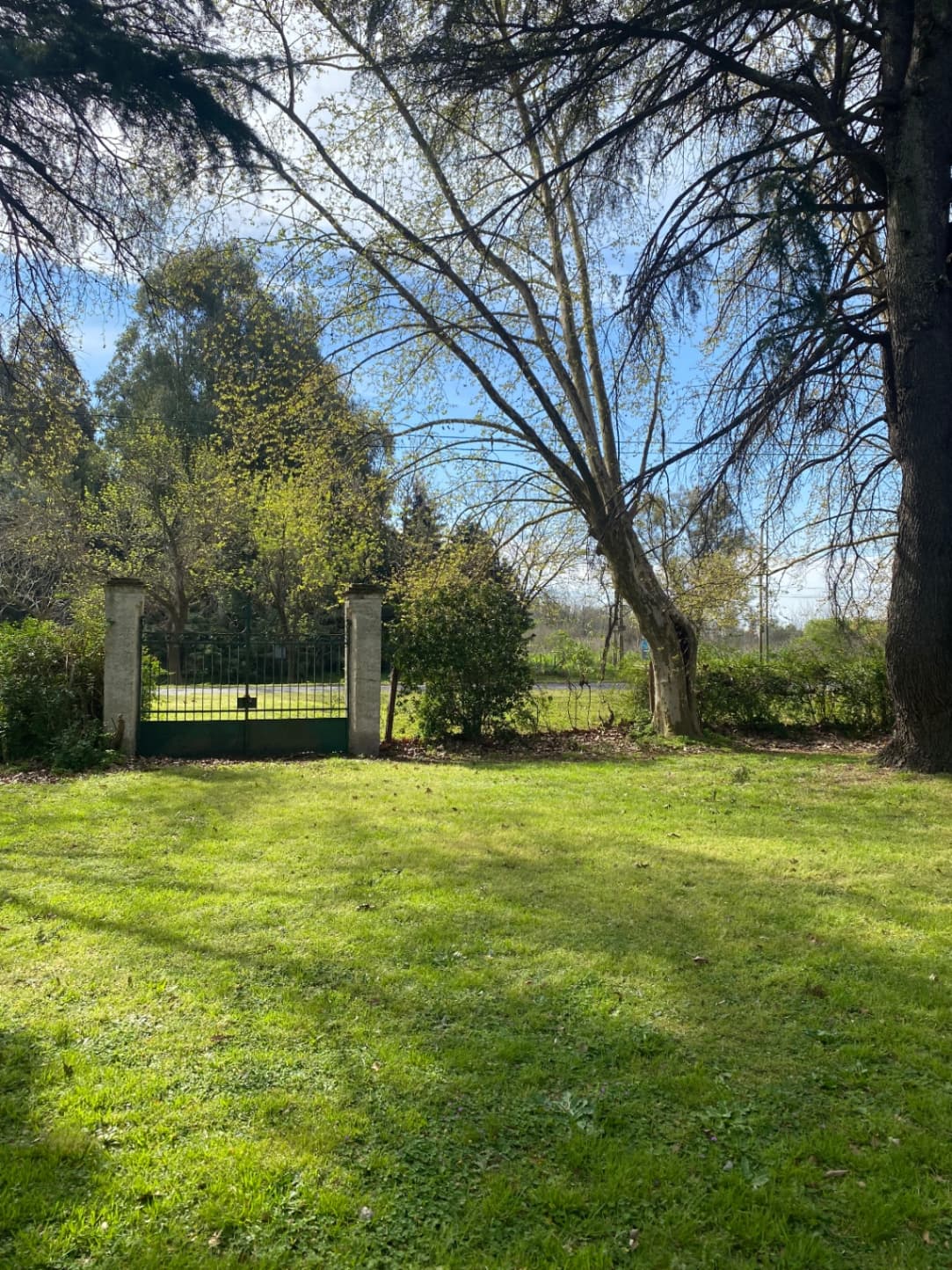 La Casona — foto 2