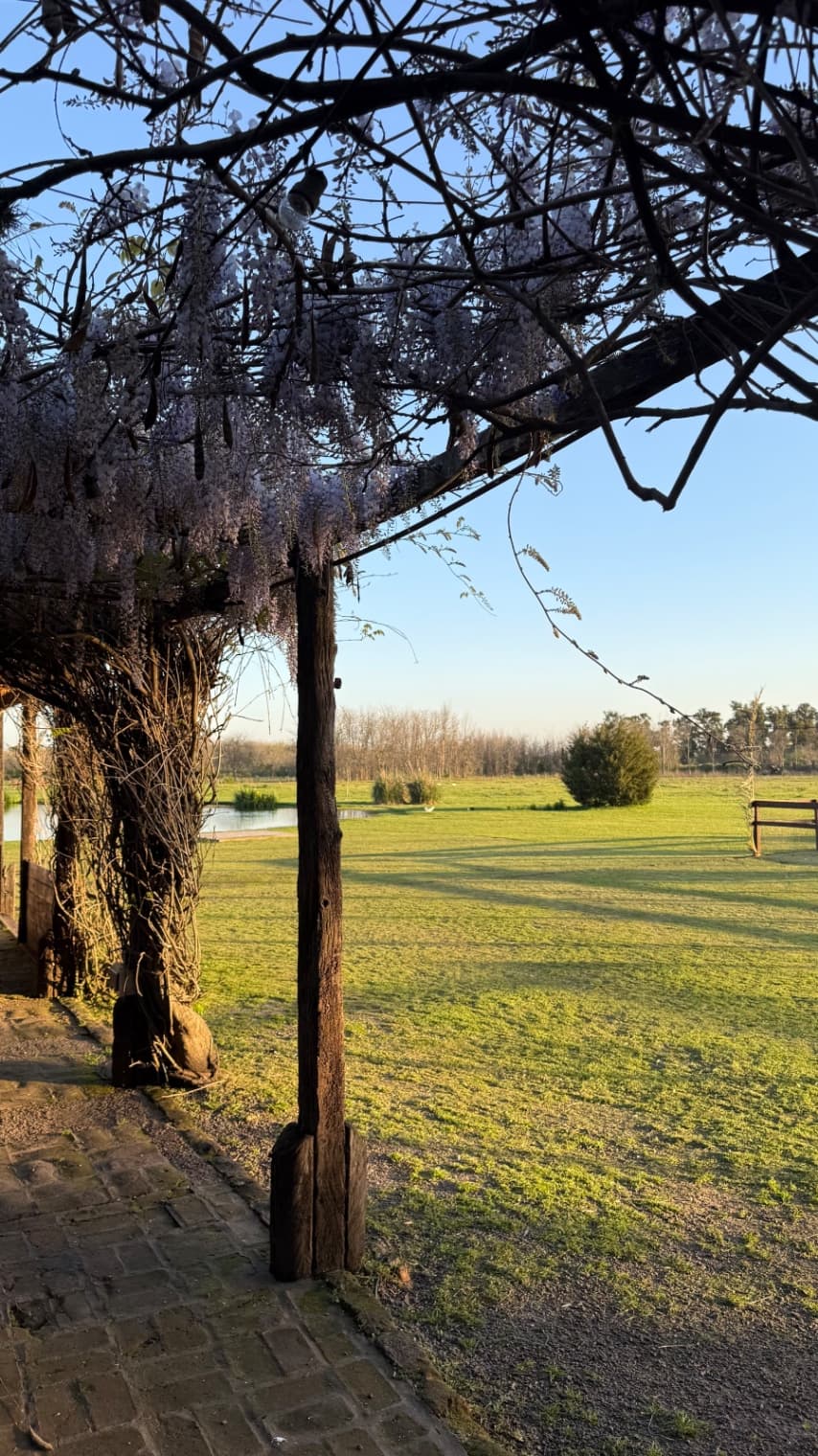 De Campo — foto 4