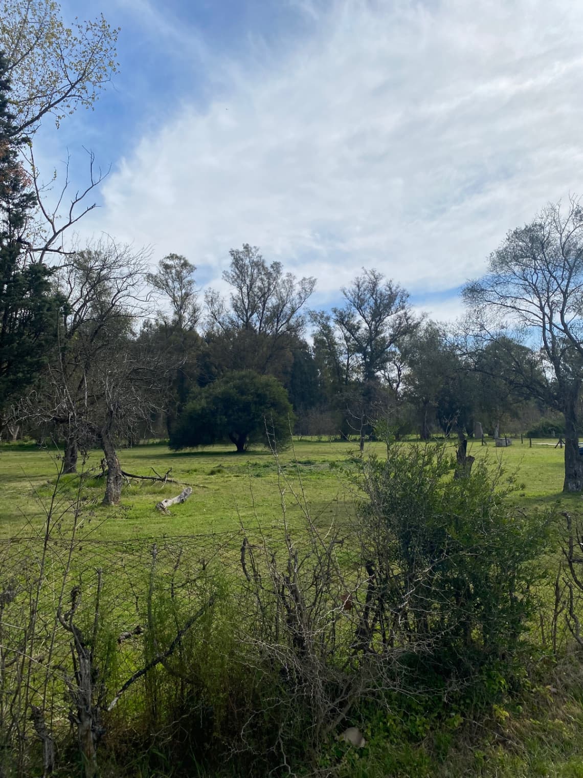 La Casona — foto 4
