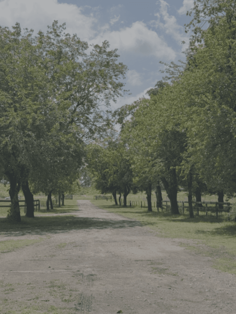 Las Mercedes Polo Club ruta 6 — foto 4