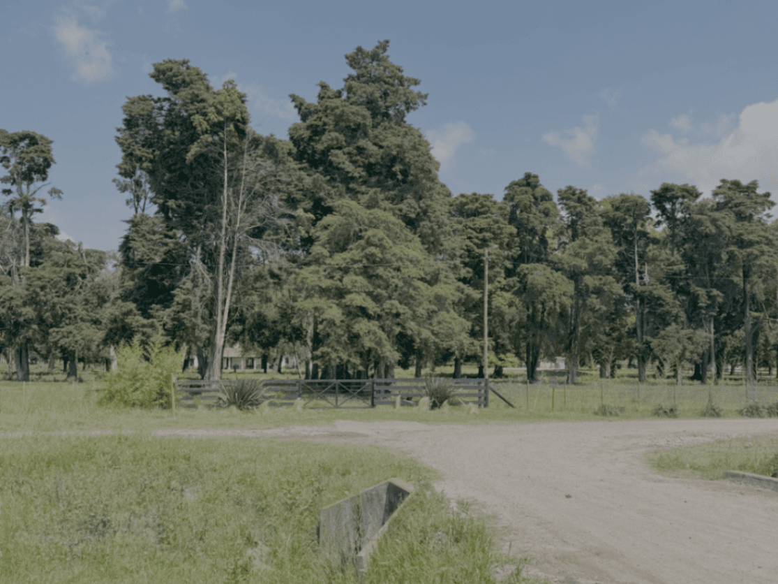 Las Mercedes Polo Club ruta 6 — foto 2