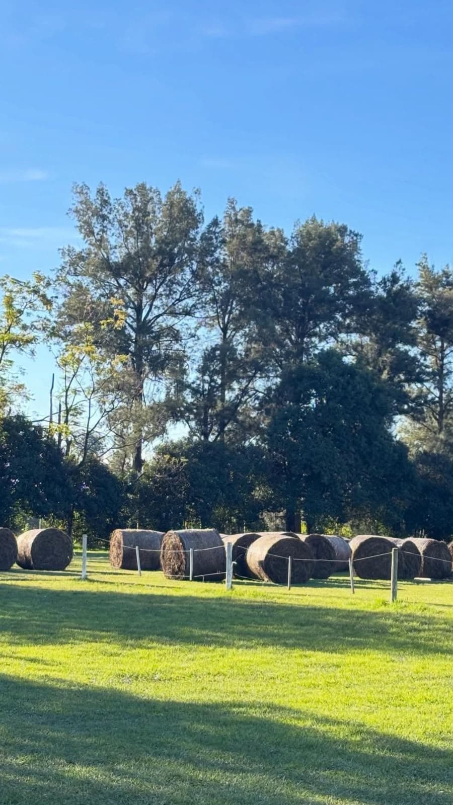 Camping La Matera — foto 5