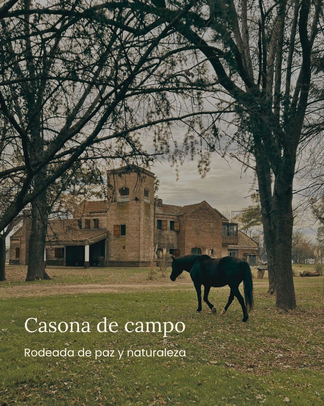 La Dorada Campo y Polo — foto 3